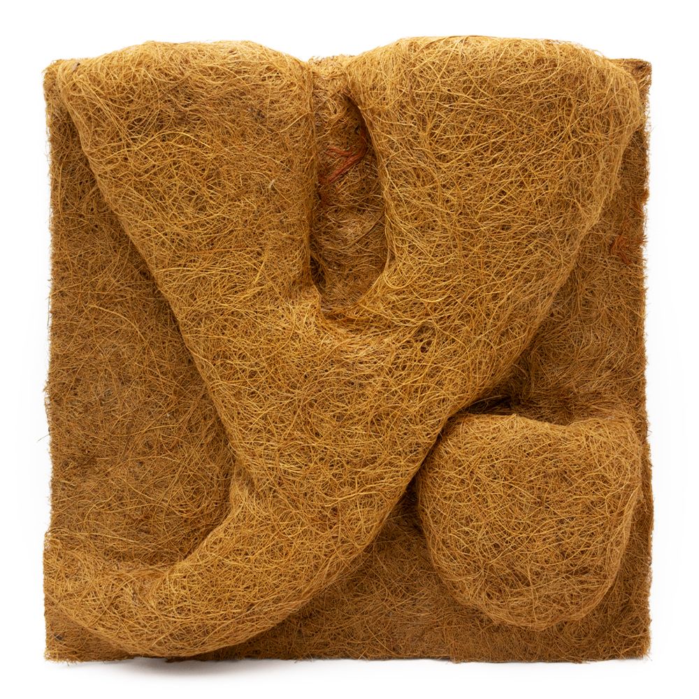 Kokosfaser - Pflanzrückwand - 40 x 40 cm