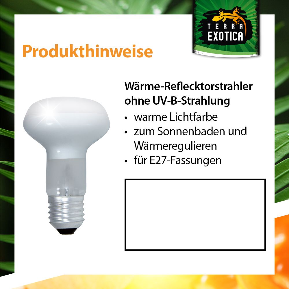 Heat Spot Reflektor Wärmelampe E27 25/40/60/75/100/150W Terrarium - Produktbild 3