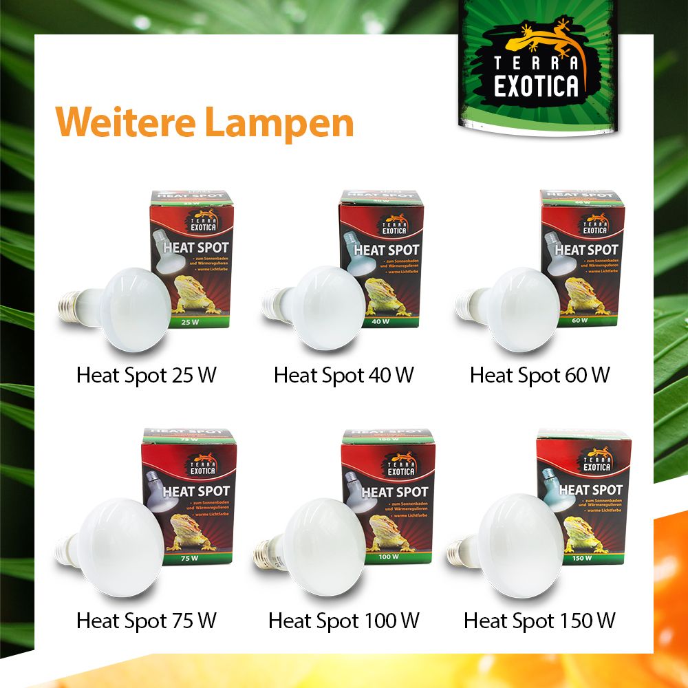 Heat Spot Reflektor Wärmelampe E27 25/40/60/75/100/150W Terrarium - Produktbild 4