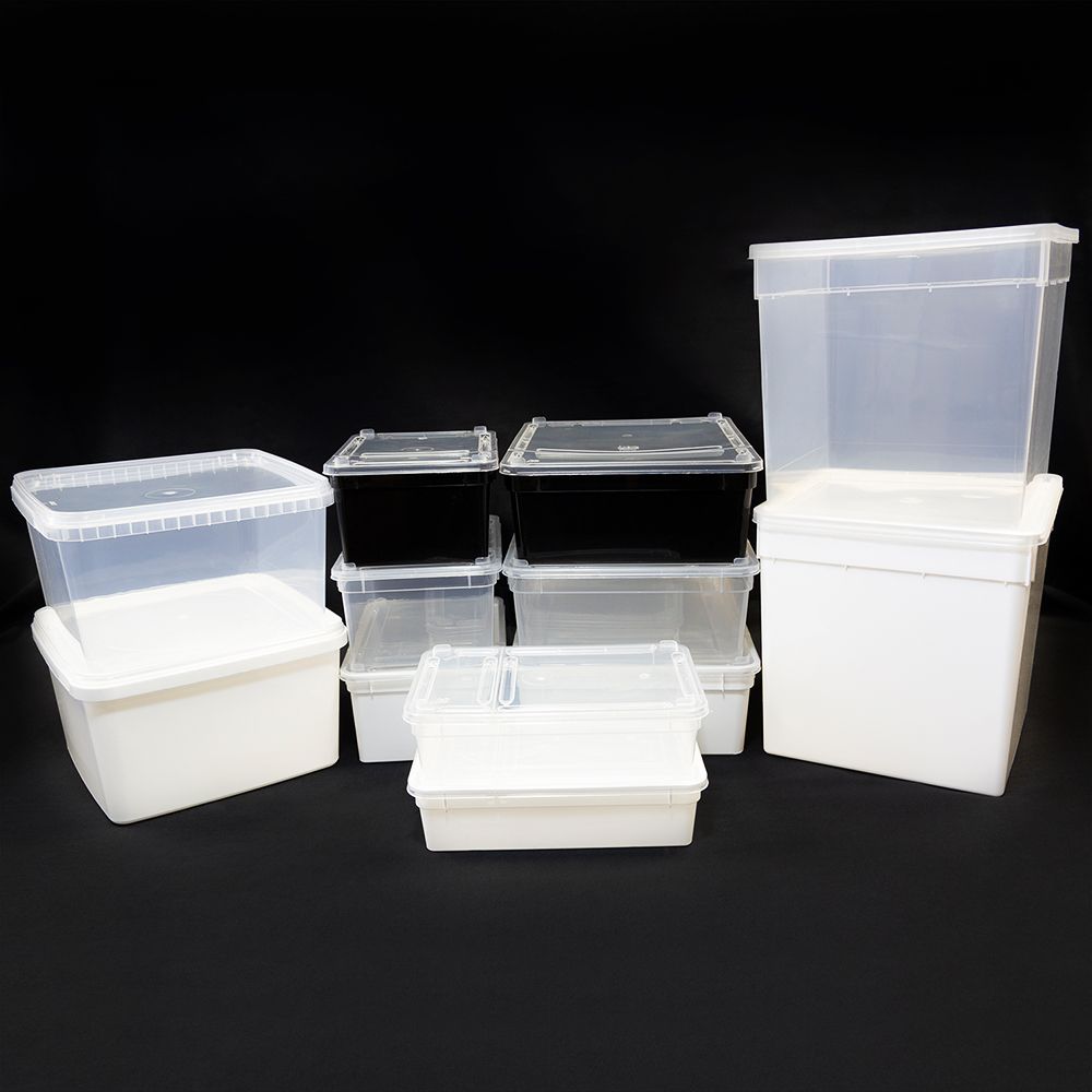 BraPlast Futtertierdose Insektendose Terraristik Dose mit transparentem Deckel