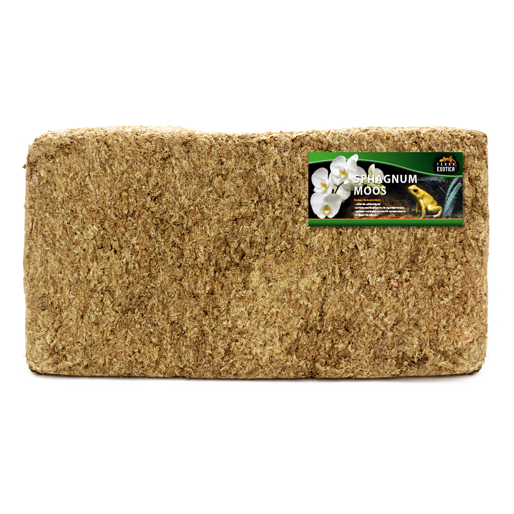 Sphagnum Moos - ca. 5 kg